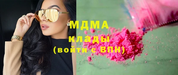 индика Алзамай