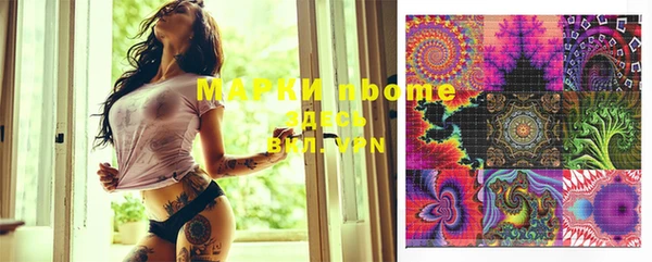 индика Алзамай