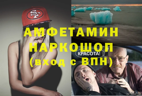 индика Алзамай
