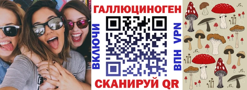 Галлюциногенные грибы MAGIC MUSHROOMS  как найти закладки  Канаш 